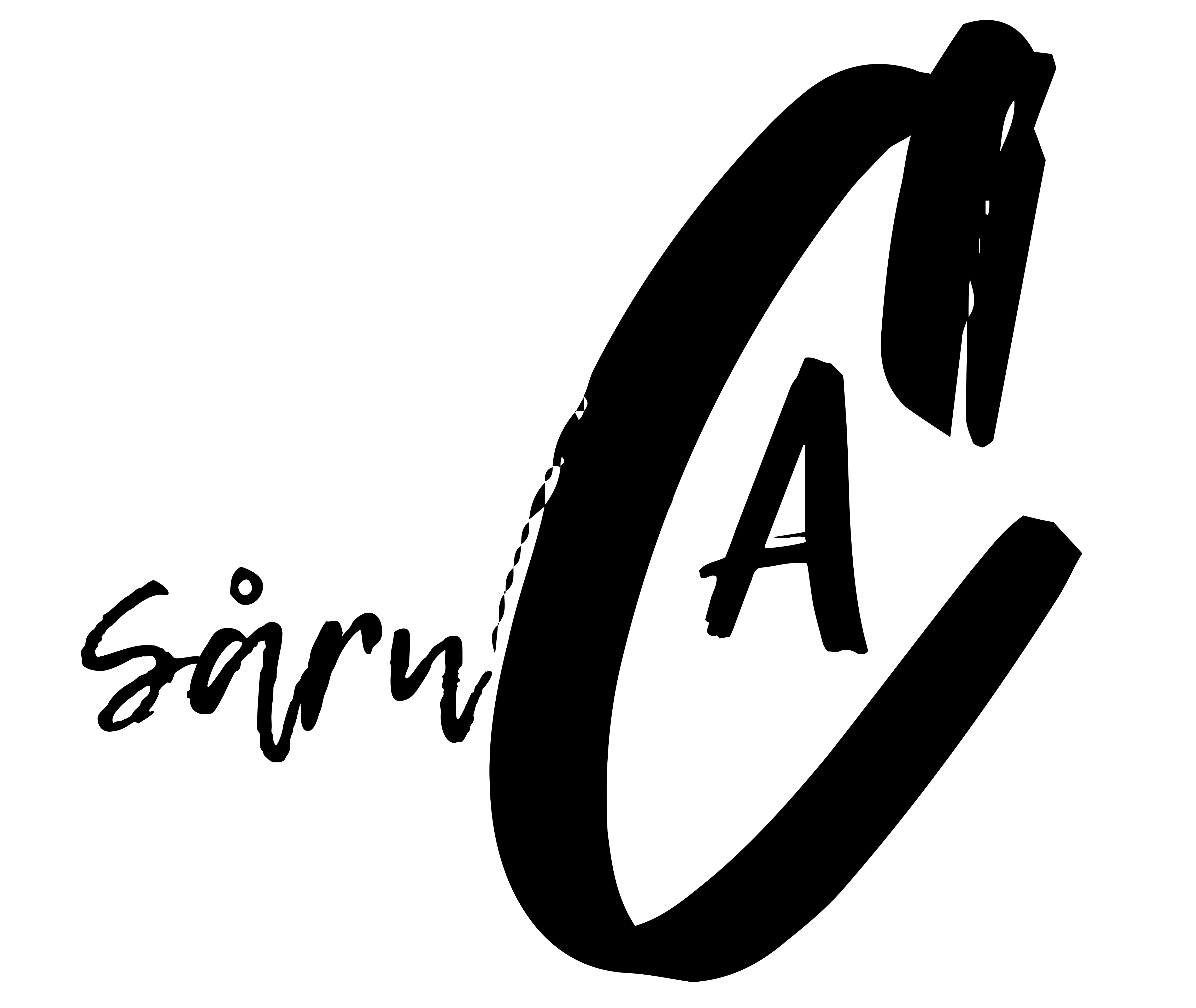 Sårn'CA logo