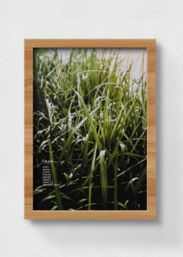 poster grass