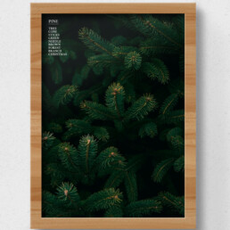 poster pine