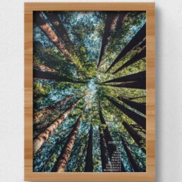 poster forest