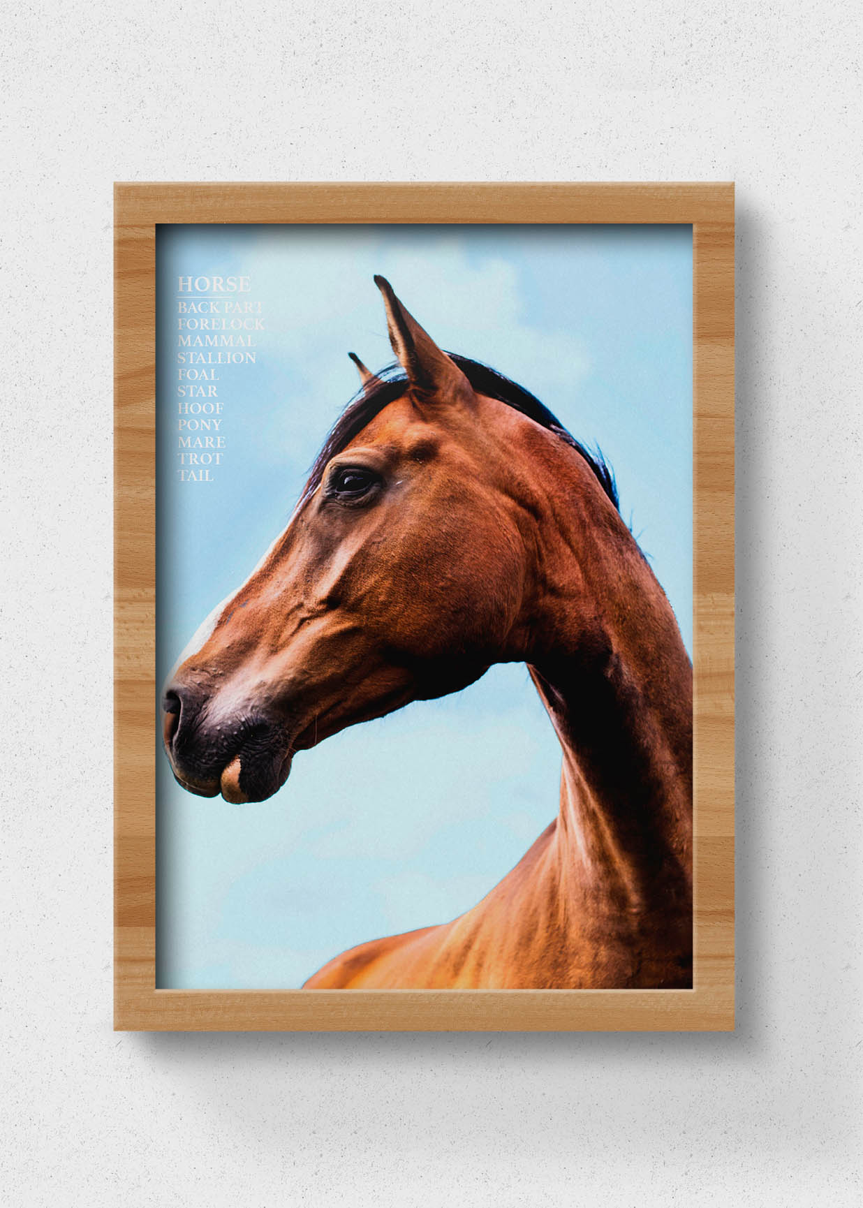 horse poster