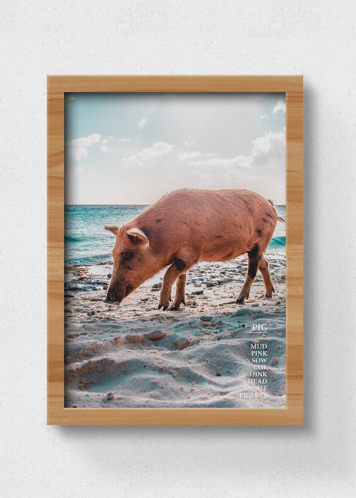 sustainable pig poster