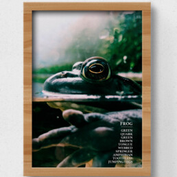 sustainable frog poster