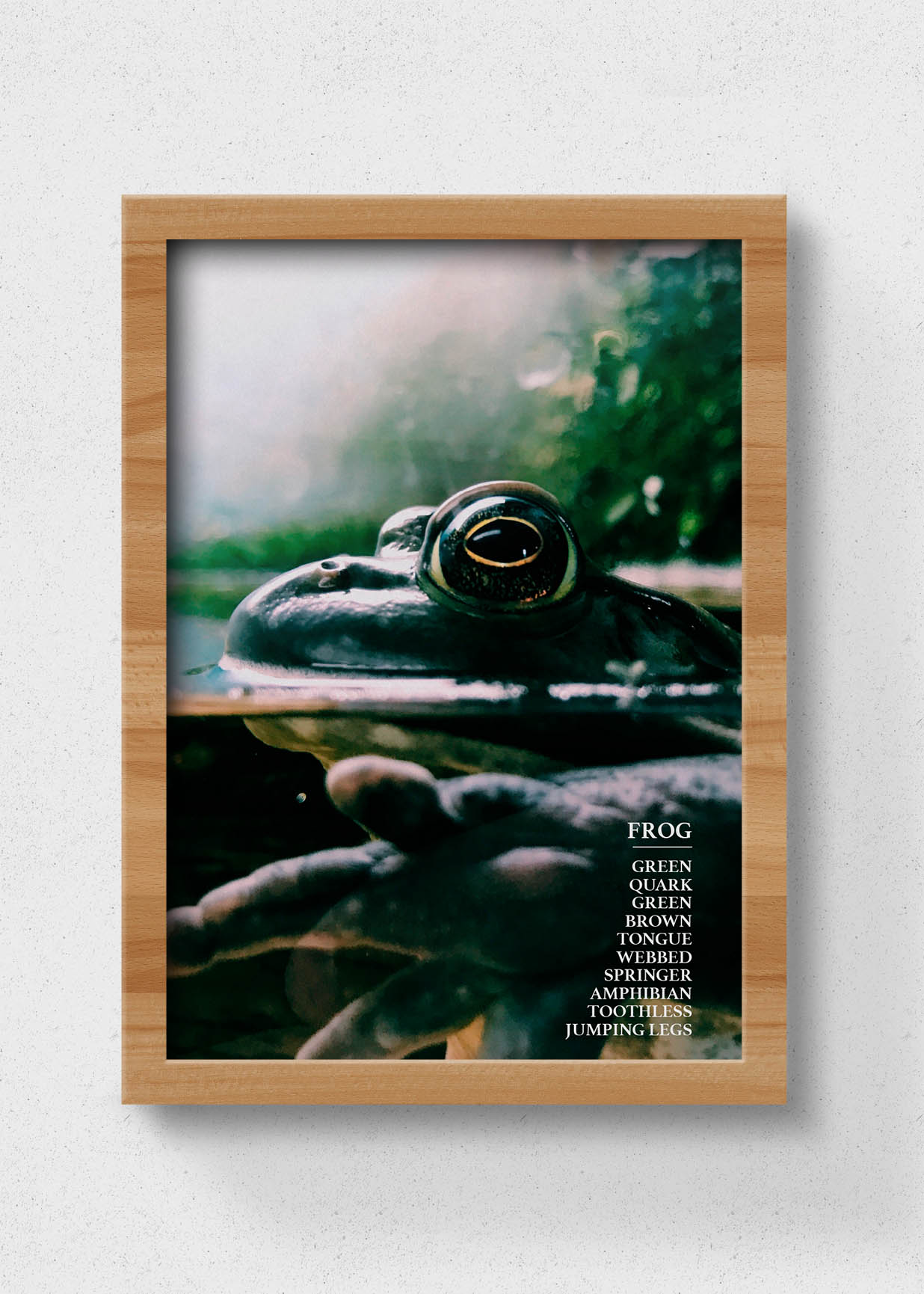 sustainable frog poster