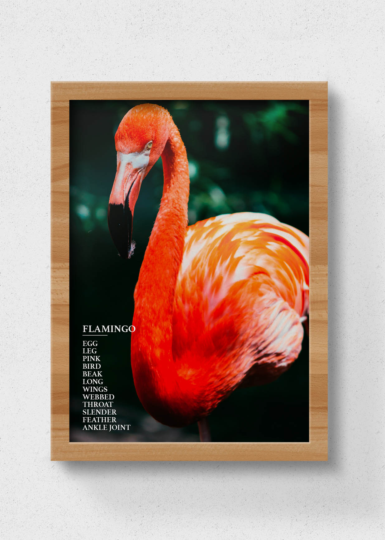 sustainable flamingo poster