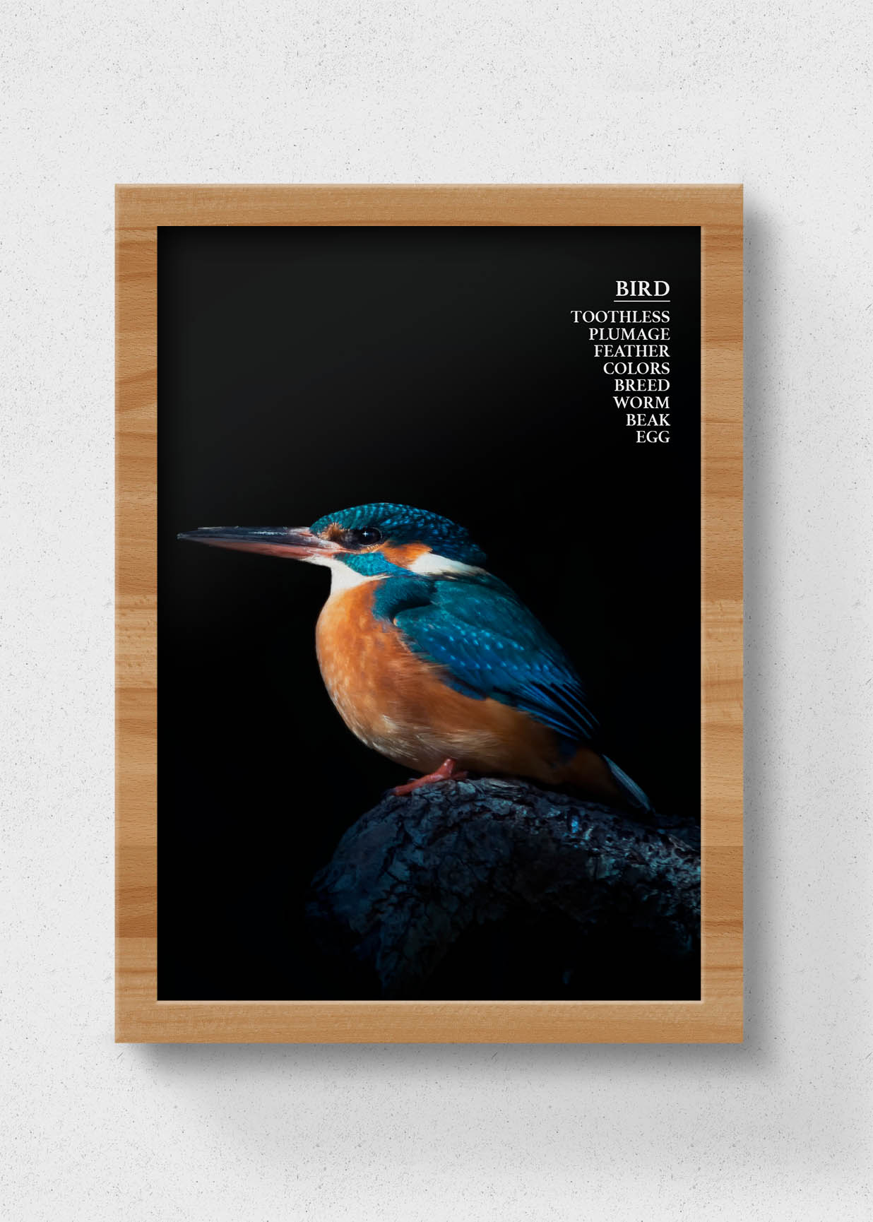 poster of bird