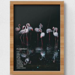 flamingo sustainable poster