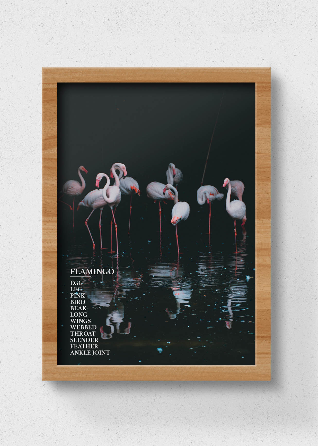 flamingo sustainable poster