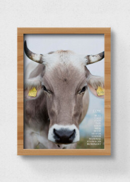 cow poster