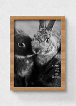 rabbit poster