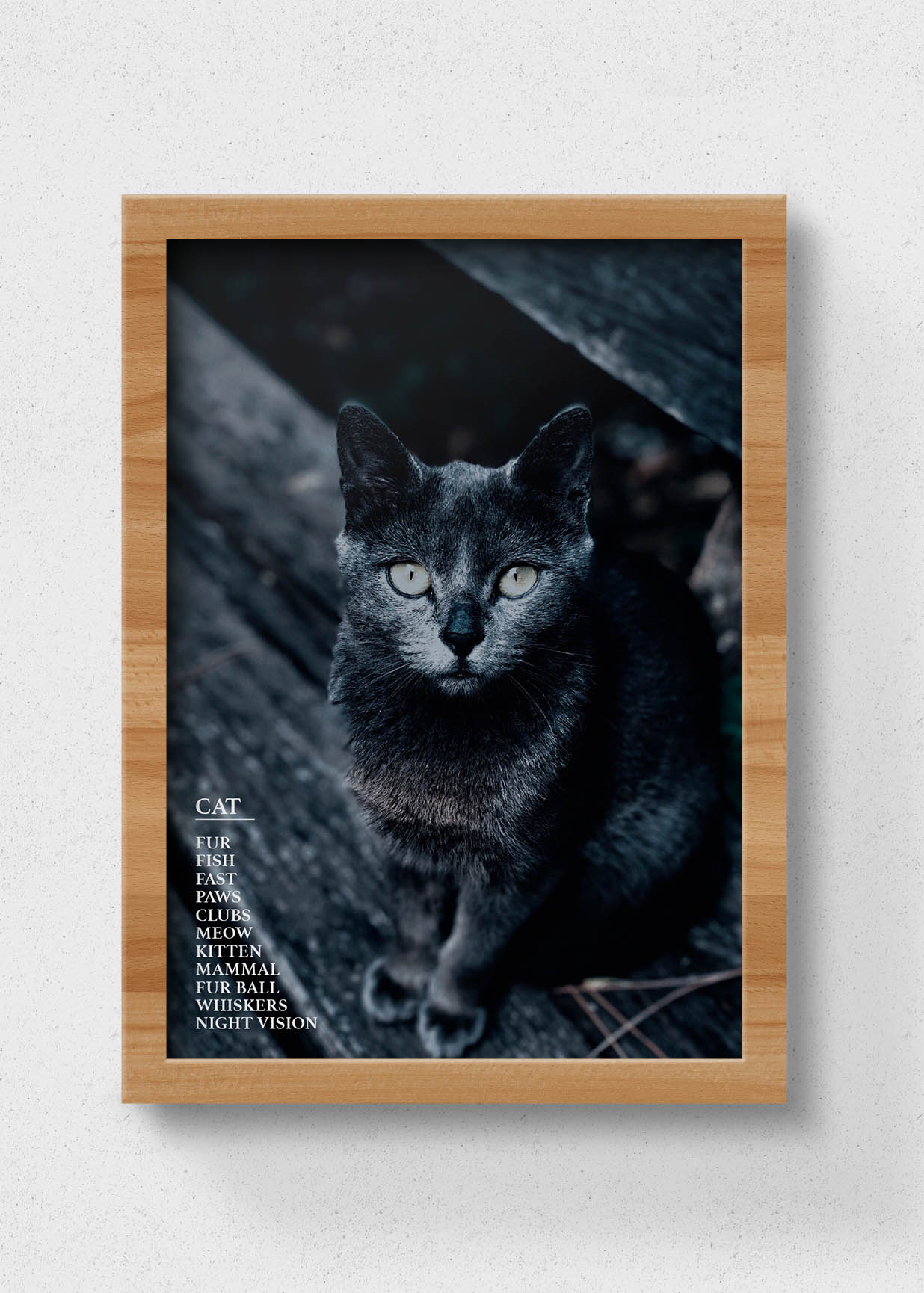 sustainable poster cat