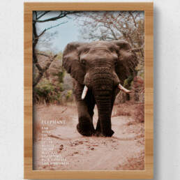 poster elephant