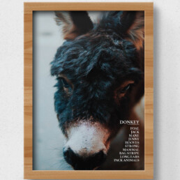 donkey poster