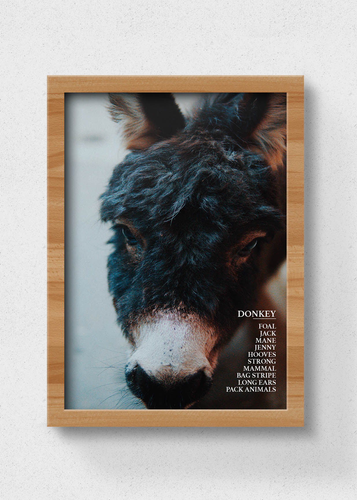 donkey poster